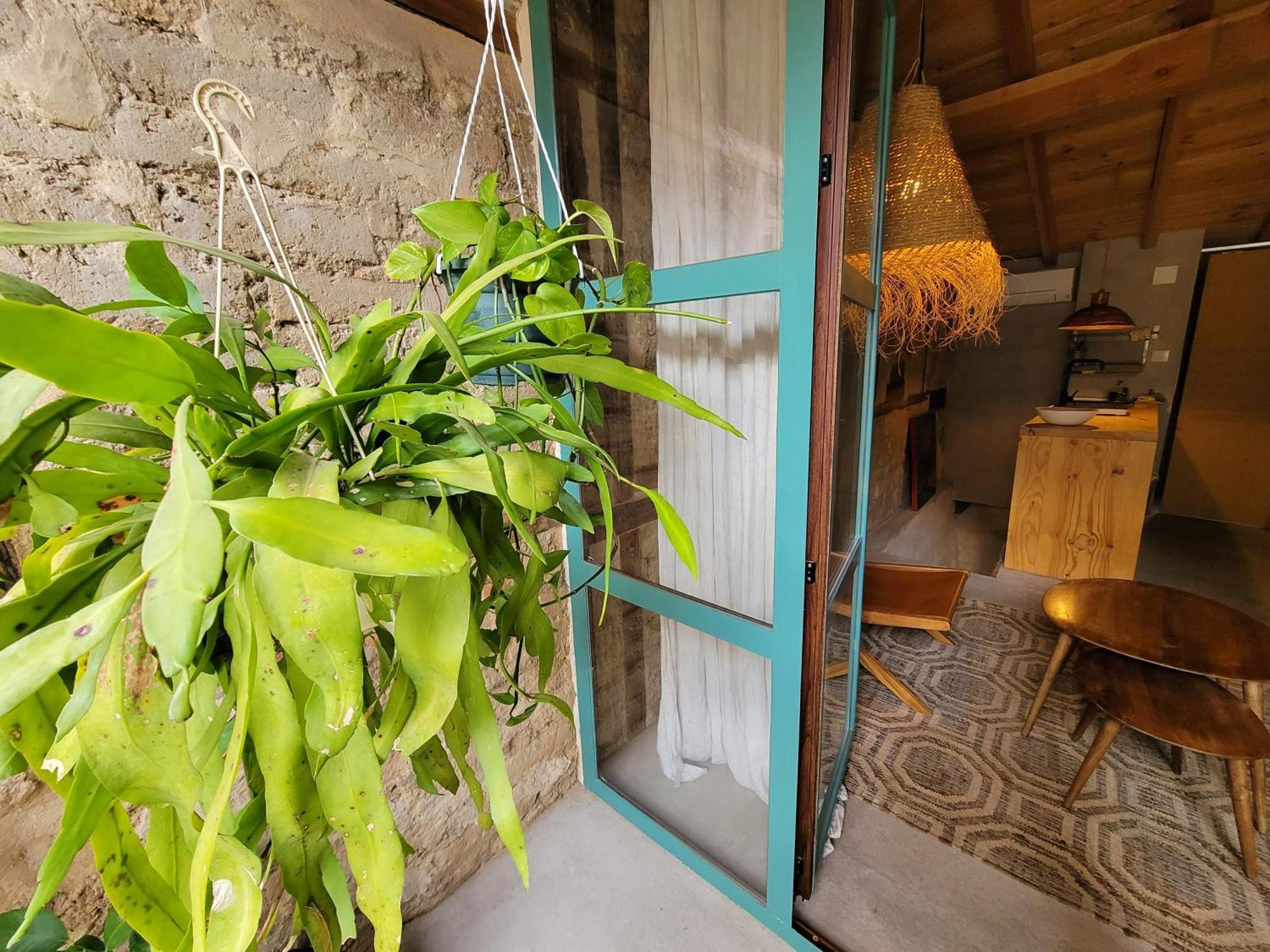 Casita Acceso Piscina Y Jardin La Nueva كانديليدا المظهر الخارجي الصورة